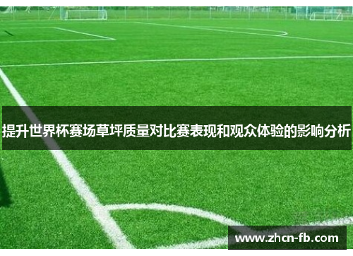 提升世界杯赛场草坪质量对比赛表现和观众体验的影响分析