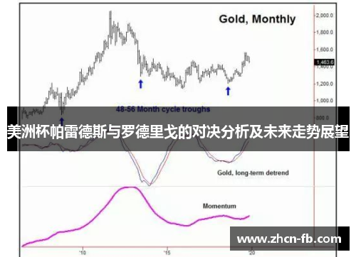 美洲杯帕雷德斯与罗德里戈的对决分析及未来走势展望