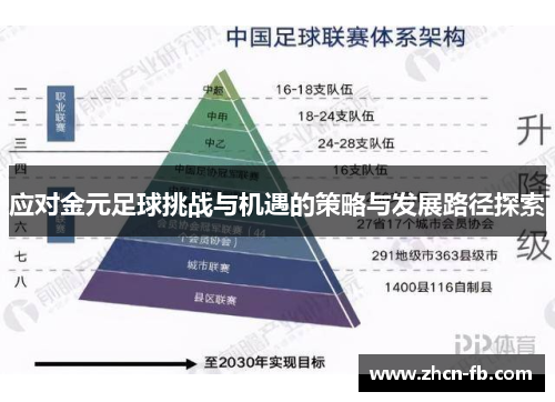 应对金元足球挑战与机遇的策略与发展路径探索