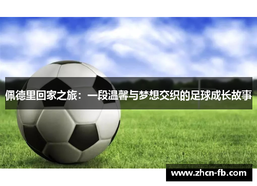 佩德里回家之旅：一段温馨与梦想交织的足球成长故事