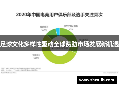足球文化多样性驱动全球赞助市场发展新机遇