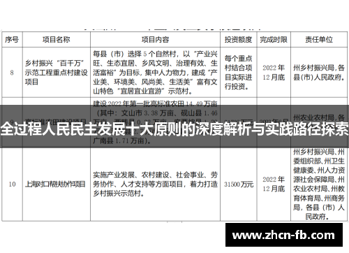 全过程人民民主发展十大原则的深度解析与实践路径探索