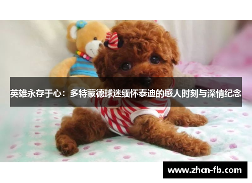 英雄永存于心：多特蒙德球迷缅怀泰迪的感人时刻与深情纪念